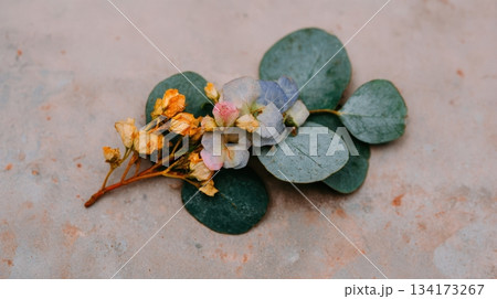 Beautiful dried flowers with green leaves on a surface 134173267