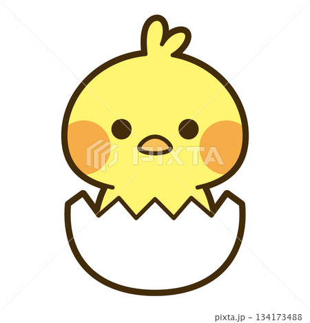 かわいいひよこのイラスト かわいいひよこのイラスト 134173488