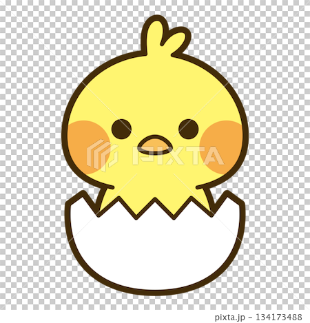 可愛的小雞圖 134173488
