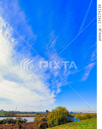 紅葉の始まった下総台地国府台 134174116