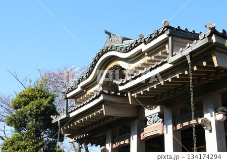 慈林寺を見上げる 134174294