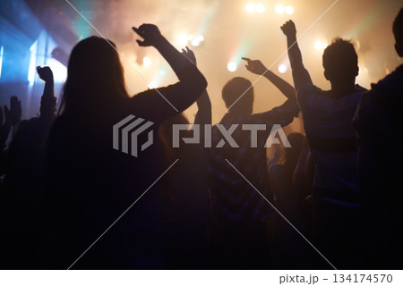 Lights, energy and people dancing at music festival from back, night and silhouette at live concert event. Dance, fun and group of excited fans in arena at rock band performance or crowd at party. 134174570