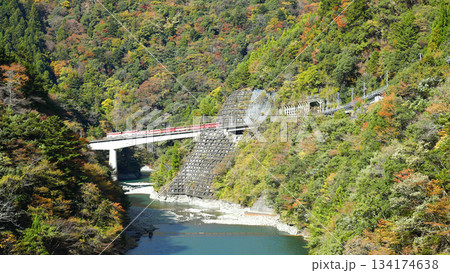 大井川鉄道井川線　アプト式列車 134174638