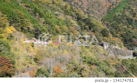大井川鉄道井川線　アプト式列車 134174781