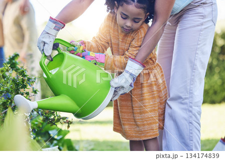 Children, watering plants and a mother teaching her daughter about growth or sustainability in the garden. Family, spring or gardening with a woman and female child outdoor in the backyard together 134174839