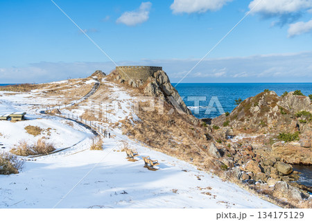 「青森県」雪景色の葦毛崎展望台　種差海岸 134175129
