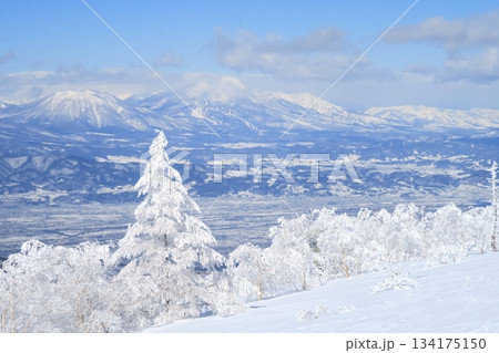 樹氷の雪山の景色　妙高山、黒姫山、飯綱山 134175150