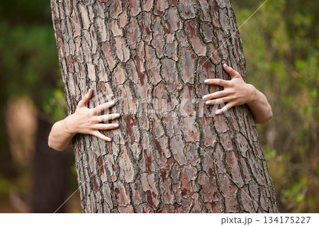 Nature, saving and a person with a tree hug for sustainability, planet love and ecology. Forest, earth day and hands hugging trees to show care for woods, deforestation and climate change in a park Nature, saving and a person with a tree hug for sustainability, planet love and ecology. Forest, earth day and hands hugging trees to show care for woods, deforestation and climate change in a park 134175227