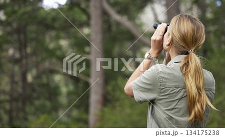 Binoculars, forest and woman explore in nature, travel journey or outdoor adventure for carbon footprint research. Watch, search and back person birdwatching in jungle, woods or eco green environment 134175238