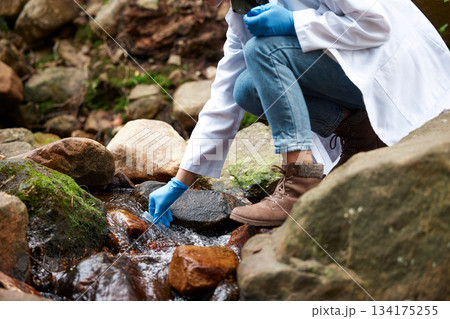 Science, river and woman with test tube for water for environment inspection, check and sample. Sustainability, agriculture and hands of female scientist in forest for analysis, research and study 134175255