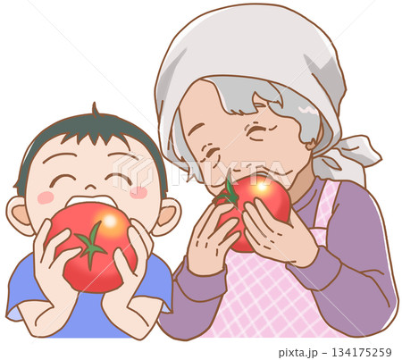 大きなトマトにかぶりつく孫とおばあちゃん 134175259