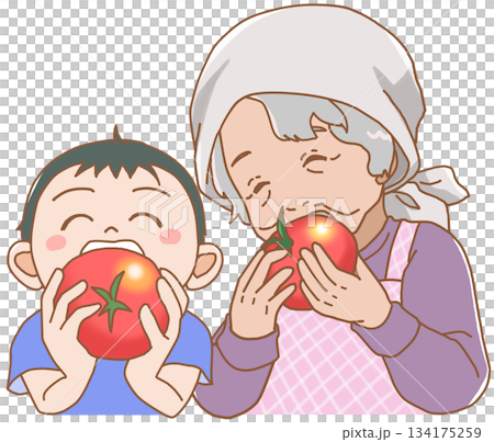 大きなトマトにかぶりつく孫とおばあちゃん 134175259