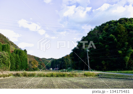 山陰の秋　島根の農村風景 134175481