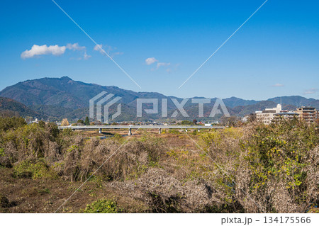 初冬の桂川河川敷風景　京都市 134175566