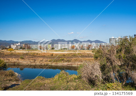 初冬の桂川河川敷風景　京都市 134175569