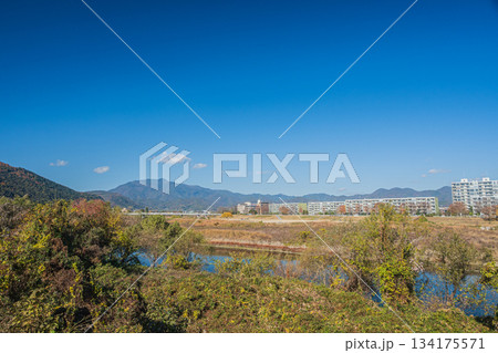 初冬の桂川河川敷風景 京都市 初冬の桂川河川敷風景 京都市 134175571