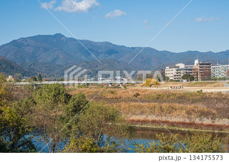 桂川右岸から左岸の景観　京都市 134175573
