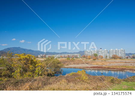 桂川右岸から左岸の景観 京都市 桂川右岸から左岸の景観 京都市 134175574