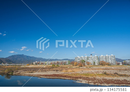 初冬の桂川右岸から左岸の景観から左岸のマンション群の景観 京都市 初冬の桂川右岸から左岸の景観から左岸のマンション群の景観 京都市 134175581