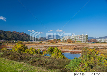 桂川右岸から左岸のマンションの景観　京都市 134175592