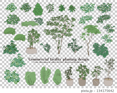 Commercial facility planting design | Vector illustrations of stylish exteriors, shrubs, and symbol trees 134175642