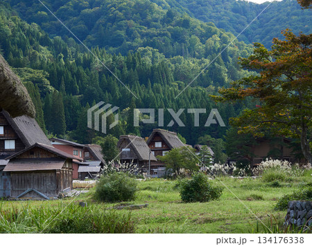 夏の世界遺産白川郷の合掌造りの風景 134176338