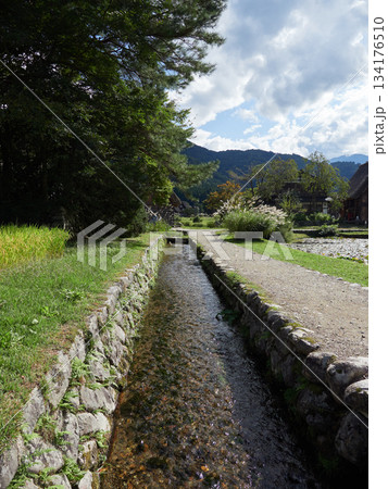 世界遺産白川郷の白川村の田圃と用水路と合掌造りの風景 世界遺産白川郷の白川村の田圃と用水路と合掌造りの風景 134176510