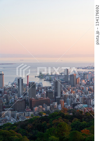 錨山から見る神戸の夕景 錨山から見る神戸の夕景 134176692