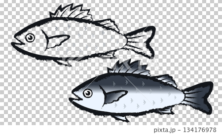 鈴木 鈴木 134176978