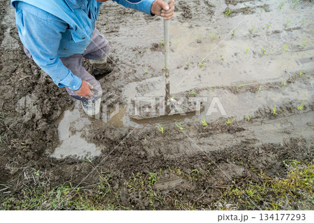 Agriculture 134177293