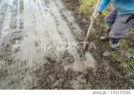 Agriculture Agriculture 134177295