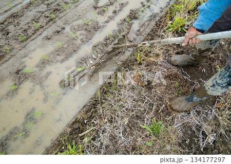Agriculture 134177297