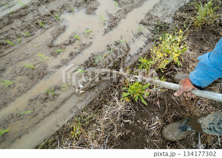 Agriculture Agriculture 134177302