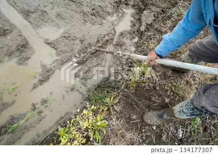 Agriculture 134177307