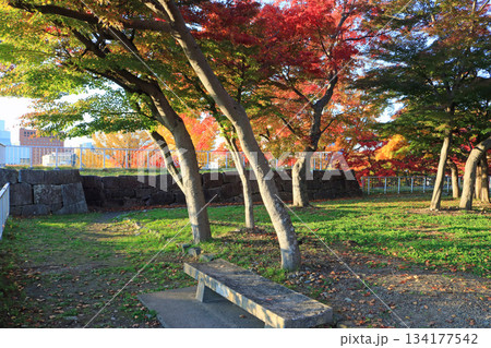 盛岡城跡公園の紅葉 134177542