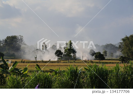 Heavy smoke rises from farmers burning rice paddy fields. Heavy smoke rises from farmers burning rice paddy fields. 134177706
