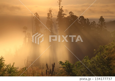 岩手県奥州市 夜明けの風景 岩手県奥州市 夜明けの風景 134177737