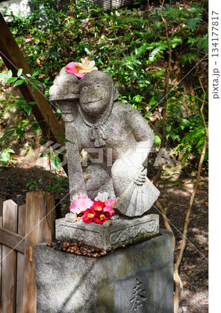 京都 大豊神社 狛猿と美しい椿(京都府京都市左京区) 京都 大豊神社 狛猿と美しい椿(京都府京都市左京区) 134177817