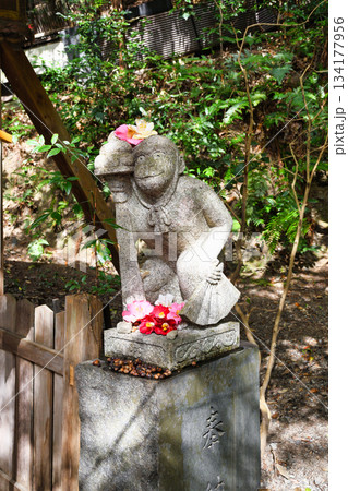 京都 大豊神社 狛猿と美しい椿(京都府京都市左京区) 京都 大豊神社 狛猿と美しい椿(京都府京都市左京区) 134177956