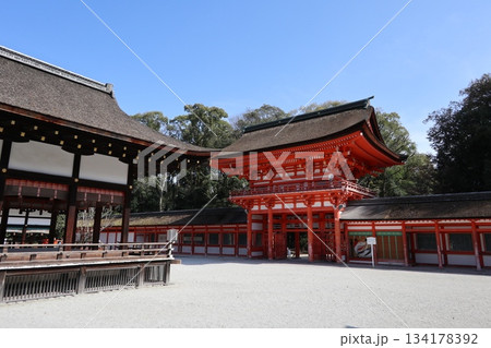 京都の世界遺産 下鴨神社 134178392