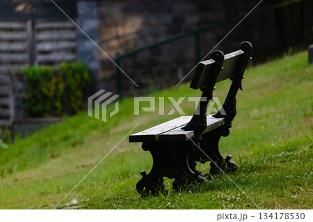 Rustic Wooden Bench on Grassy Slope in Serene Urban Park Setting 134178530