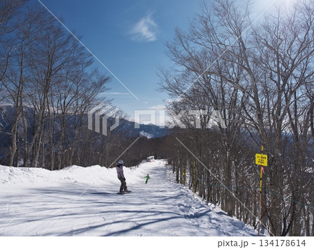 白馬コルチナスキー場の稗田山尾根コース 134178614