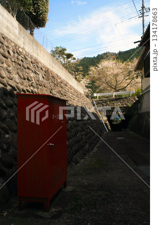 石垣の消防ホース格納庫と桜 石垣の消防ホース格納庫と桜 134178663