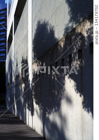 コンクリー壁の樹木の影 コンクリー壁の樹木の影 134178702