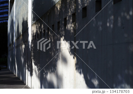 コンクリー壁の樹木の影 134178703