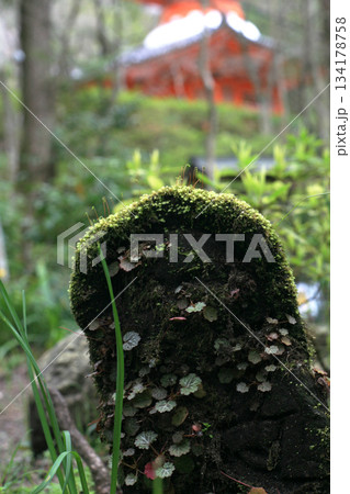 苔むした石仏 苔むした石仏 134178758