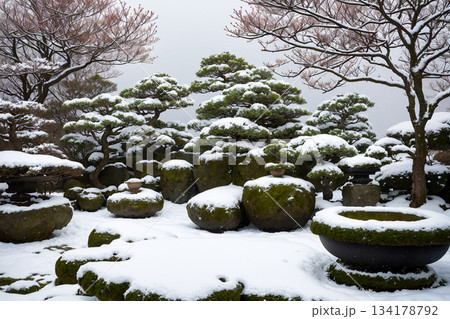 雪化粧した伝統盆栽と和庭園の静かな風景 雪化粧した伝統盆栽と和庭園の静かな風景 134178792