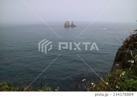 海 海沿い 沿岸 134178804