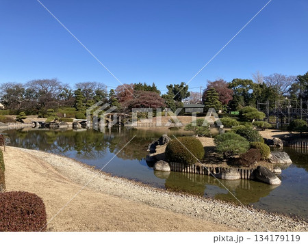 晴天の日本庭園 134179119