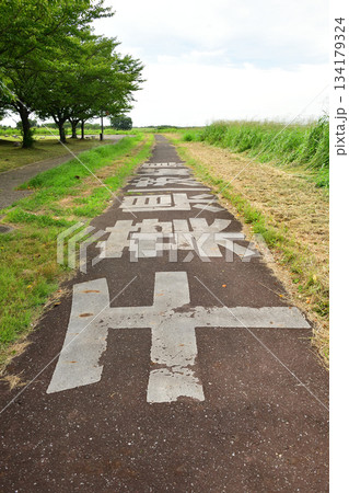 千葉県と茨城県の県境の道 千葉県と茨城県の県境の道 134179324
